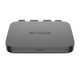 Energie Station Ecoflow...