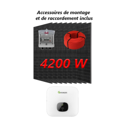 4200W Sunergy inverter...